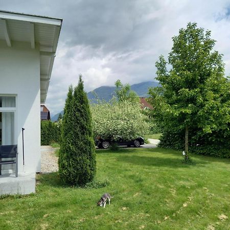 Grünes Ferienhaus Flores: Central Oasis with Zero Emissions Bad Ischl Exterior photo