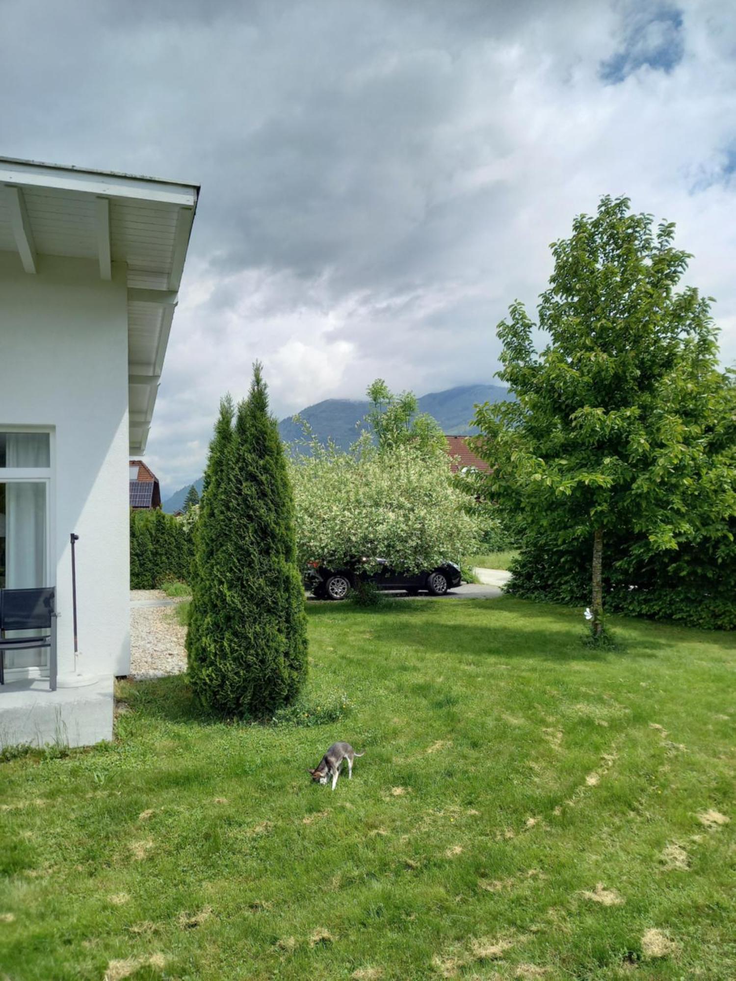 Grünes Ferienhaus Flores: Central Oasis with Zero Emissions Bad Ischl Exterior photo